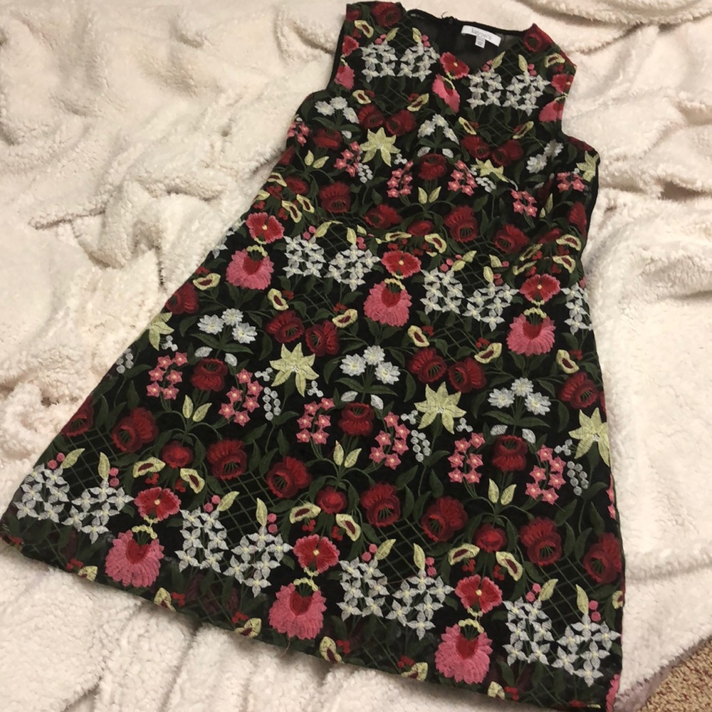 Lucy Paris Marina Sleeveless Embroidered Dress